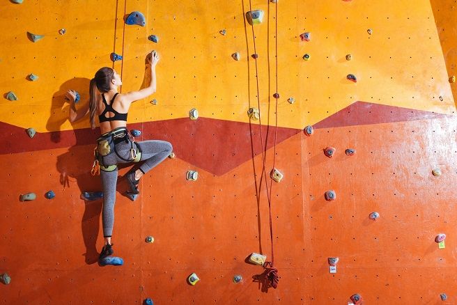 Rock Climbing Wall