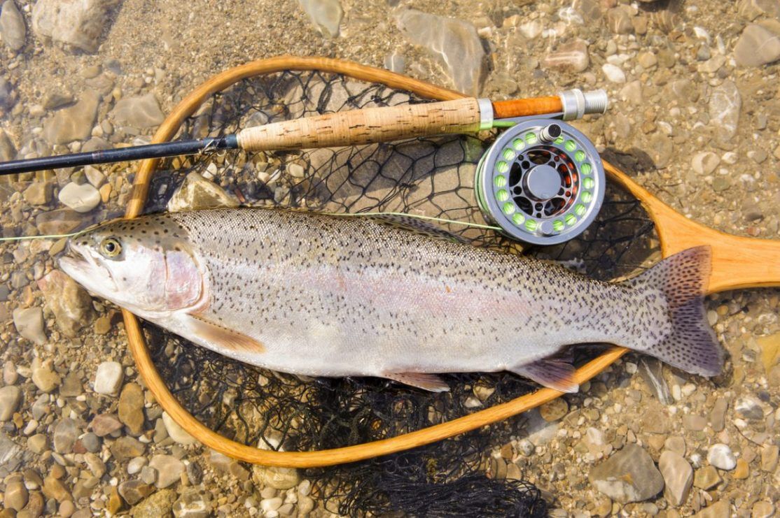 Saturday Superdraw 20 Best Fishing Spots - Central Plateau, Tasmania, Australia