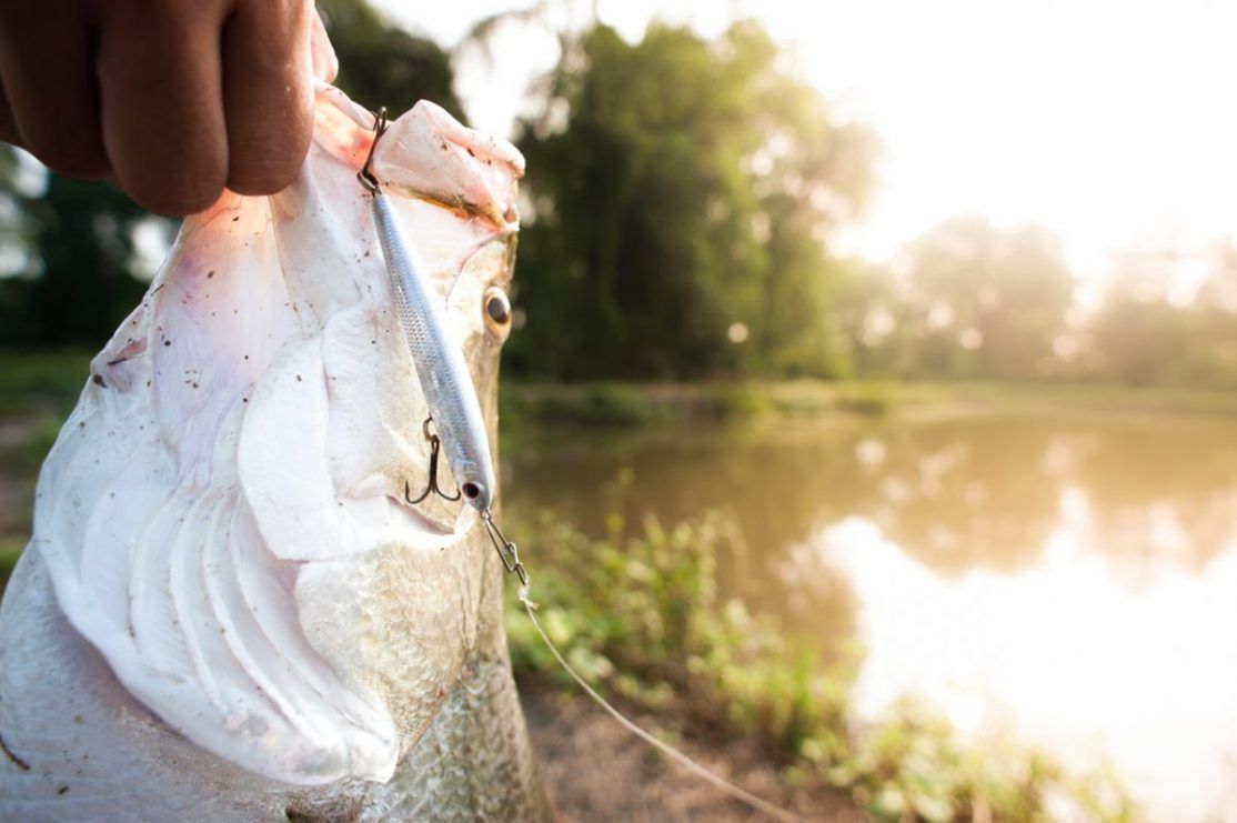 Saturday Superdraw 20 Best Fishing Spots - Weipa, Northern Territory, Australia