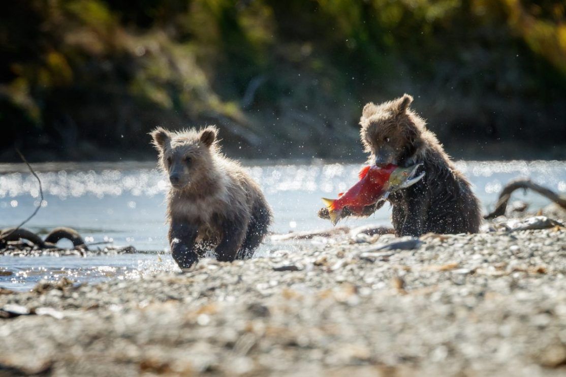 Saturday Superdraw 20 Best Fishing Spots - Kenai, Alaska